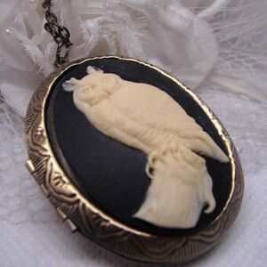 Horned Barn Owl Hoot Cameo Locket Box Keepsake Anniversary birthday GIFT MOM